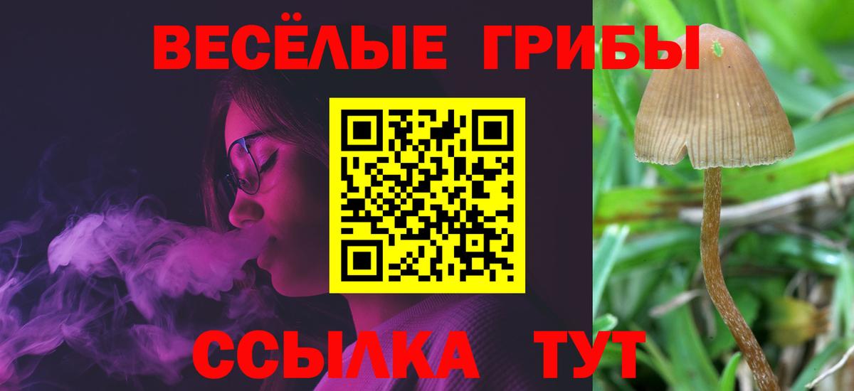 Галлюциногенные грибы ЛСД Новоуральск