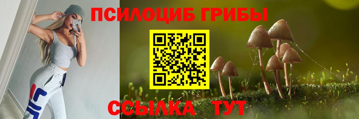 Галлюциногенные грибы GOLDEN TEACHER  Вход с VPN  Псилоцибиновые грибы мухоморы  Новоуральск 